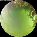 ./images/calvert/underwater/20260701/underwater20260701_135002M.jpg