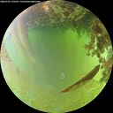 ./images/calvert/underwater/20260701/underwater20260701_135501M.jpg