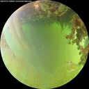 ./images/calvert/underwater/20260701/underwater20260701_140001M.jpg
