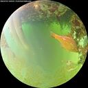 ./images/calvert/underwater/20260701/underwater20260701_140501M.jpg