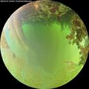 ./images/calvert/underwater/20260701/underwater20260701_141001M.jpg