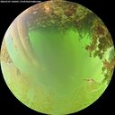 ./images/calvert/underwater/20260701/underwater20260701_142001M.jpg