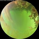 ./images/calvert/underwater/20260701/underwater20260701_143001M.jpg