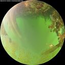 ./images/calvert/underwater/20260701/underwater20260701_150501M.jpg