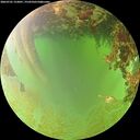 ./images/calvert/underwater/20260701/underwater20260701_153001M.jpg