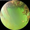 ./images/calvert/underwater/20260701/underwater20260701_154501M.jpg