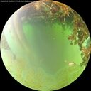 ./images/calvert/underwater/20260701/underwater20260701_160501M.jpg