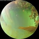 ./images/calvert/underwater/20260701/underwater20260701_162001M.jpg