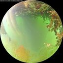 ./images/calvert/underwater/20260701/underwater20260701_163001M.jpg