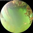 ./images/calvert/underwater/20260701/underwater20260701_163501M.jpg