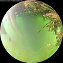 ./images/calvert/underwater/20260701/underwater20260701_164001M.jpg
