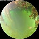 ./images/calvert/underwater/20260701/underwater20260701_164501M.jpg