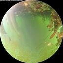 ./images/calvert/underwater/20260701/underwater20260701_165001M.jpg
