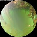 ./images/calvert/underwater/20260701/underwater20260701_165501M.jpg