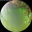./images/calvert/underwater/20260701/underwater20260701_170501M.jpg