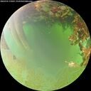 ./images/calvert/underwater/20260701/underwater20260701_172001M.jpg