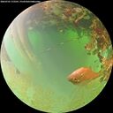 ./images/calvert/underwater/20260701/underwater20260701_172501M.jpg