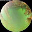 ./images/calvert/underwater/20260701/underwater20260701_174001M.jpg