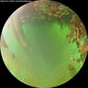 ./images/calvert/underwater/20260701/underwater20260701_174502M.jpg