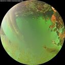 ./images/calvert/underwater/20260701/underwater20260701_175001M.jpg