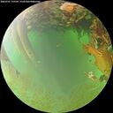 ./images/calvert/underwater/20260701/underwater20260701_175501M.jpg