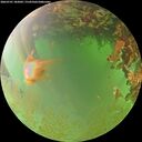 ./images/calvert/underwater/20260701/underwater20260701_182002M.jpg