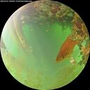 ./images/calvert/underwater/20260701/underwater20260701_183001M.jpg