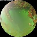./images/calvert/underwater/20260701/underwater20260701_184501M.jpg