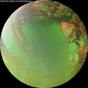 ./images/calvert/underwater/20260701/underwater20260701_185001M.jpg