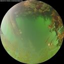 ./images/calvert/underwater/20260701/underwater20260701_194501M.jpg