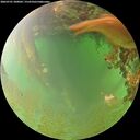./images/calvert/underwater/20260701/underwater20260701_200002M.jpg