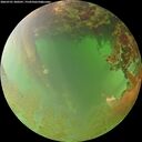 ./images/calvert/underwater/20260701/underwater20260701_200501M.jpg