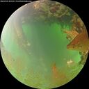 ./images/calvert/underwater/20260701/underwater20260701_201501M.jpg