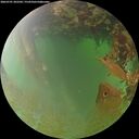 ./images/calvert/underwater/20260701/underwater20260701_202501M.jpg
