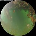 ./images/calvert/underwater/20260701/underwater20260701_203002M.jpg