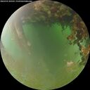 ./images/calvert/underwater/20260701/underwater20260701_203501M.jpg