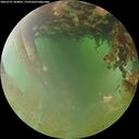 ./images/calvert/underwater/20260701/underwater20260701_204001M.jpg
