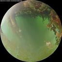 ./images/calvert/underwater/20260701/underwater20260701_210001M.jpg