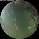 ./images/calvert/underwater/20260701/underwater20260701_213001M.jpg