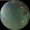 ./images/calvert/underwater/20260701/underwater20260701_213501M.jpg