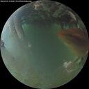 ./images/calvert/underwater/20260701/underwater20260701_215001M.jpg