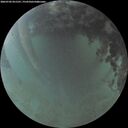 ./images/calvert/underwater/20260702/underwater20260702_051501M.jpg