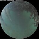 ./images/calvert/underwater/20260702/underwater20260702_052001M.jpg