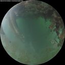 ./images/calvert/underwater/20260702/underwater20260702_054001M.jpg