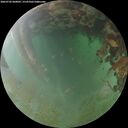 ./images/calvert/underwater/20260702/underwater20260702_060002M.jpg