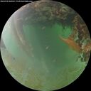 ./images/calvert/underwater/20260702/underwater20260702_060501M.jpg