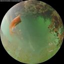 ./images/calvert/underwater/20260702/underwater20260702_063001M.jpg