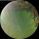 ./images/calvert/underwater/20260702/underwater20260702_064001M.jpg