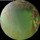 ./images/calvert/underwater/20260702/underwater20260702_065501M.jpg
