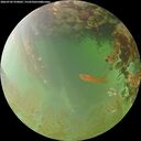./images/calvert/underwater/20260702/underwater20260702_070001M.jpg